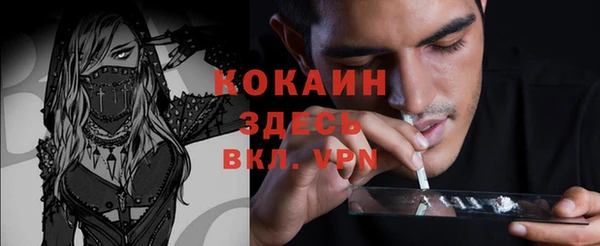 круглые Гусев