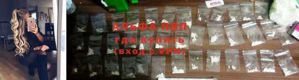 круглые Гусев