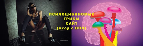 круглые Гусев