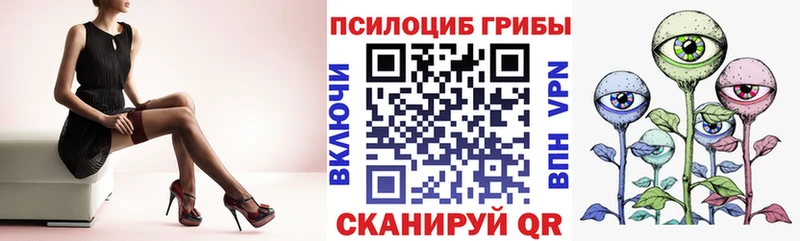 ссылка на мегу онион  Духовщина  Псилоцибиновые грибы мухоморы 